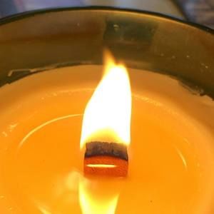 Meet your Posher, Bruce